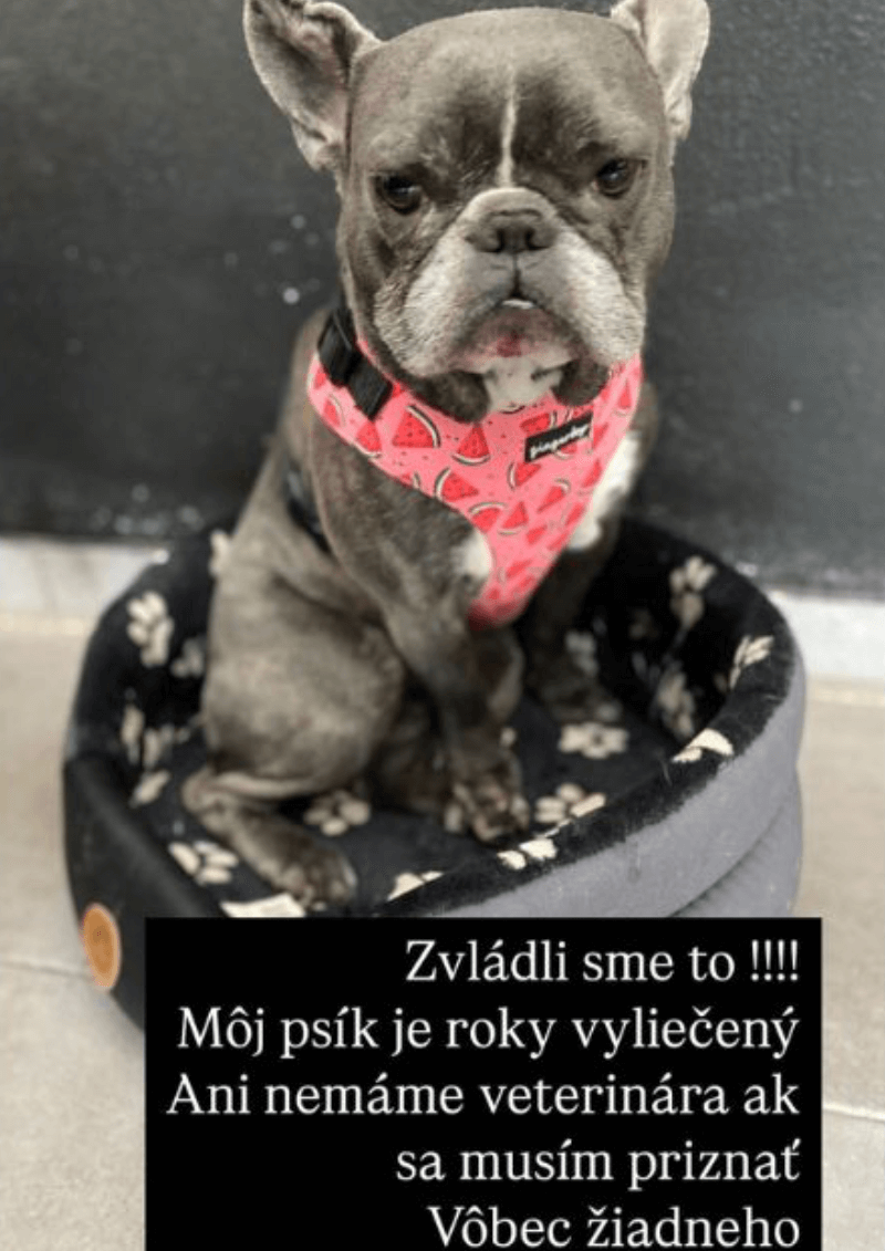 Obrázok 2